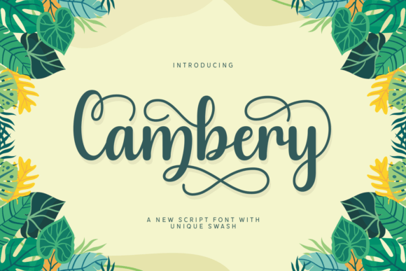 Cambery: The Script Font That Stops the Scroll