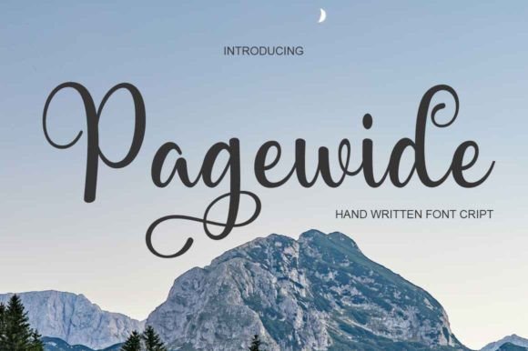 Designing a Brand Identity with the Pagewide Typeface