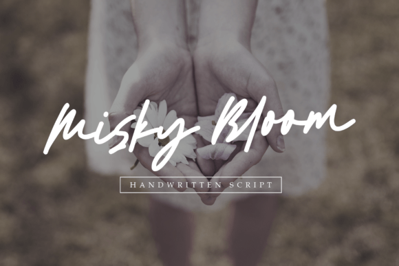 Misky Bloom: A Script Font for Modern Web Design